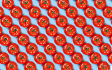 Colorful pattern of red fresh tomatos on blue background. Top view. Flat lay .