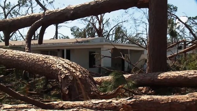 A tree split like a twig fell on a home in Lynn Haven, Florida due to Hurricane Michael, 2018