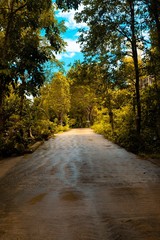 Walking in the park in the temple.