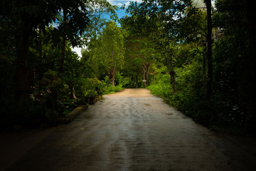 Walking in the park in the temple.