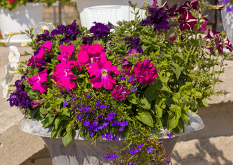 Beautiful flowers in a large pot on the street