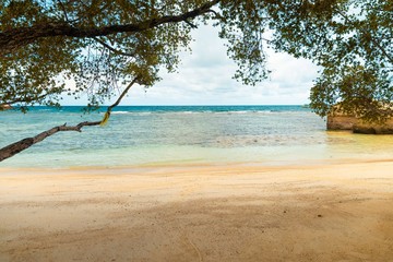Looking at the sea from the beach.