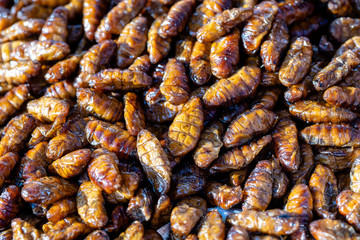 Fried silk worms delicious in street food in Thailand. Close up