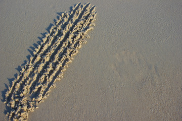 Traces of human hands on sand sunrise background sea