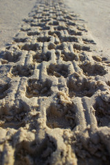 Footprint in sand car tire quadro cycle at sunrise, texture