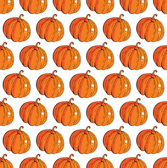 Pumpkin vegetable seamless pattern with vector orange pumpkins. Fresh vegetarian food, farm vegetables, Halloween and thanksgiving design. Hand drawn background autumn harvest.