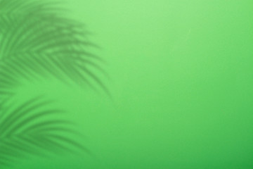 Fototapeta na wymiar Shadow from palm leaves on a background of green wall. Green background, cardboard. Abstract image. Tropic concept