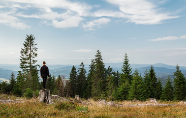 Fototapeta premium Young man runner standing on stump in Sumava National Park and Bavarian Forest, Czech republic and Germany