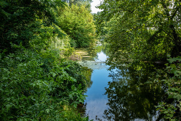 Calm river lined with dense vegetation, Tupin-et-Semons, France