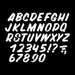 Hand drawn typeface on white background. Brush sign painted vector characters: lowercase and uppercase. Typography alphabet for your designs: logo, typeface, card