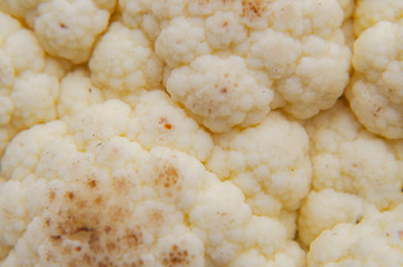 cauliflower closeup, background and texture