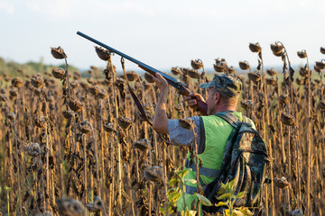Hunting period, autumn season open. A hunter with a gun in his hands in hunting clothes in the...
