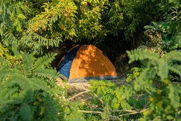 orange tent in natural trees branches and leaves frame in forest scenic environment , tourism life style concept picture 