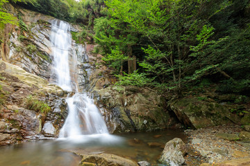 Fototapeta premium 白糸の滝（上野峡） 福岡県田川郡