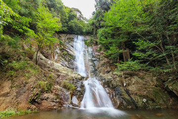 Fototapeta na wymiar 白糸の滝（上野峡）　福岡県田川郡
