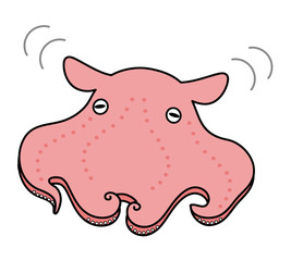 メンダコ ベクター イラスト