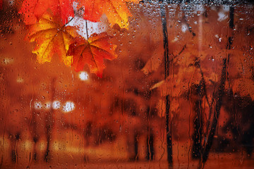 Autumn rain outside the window