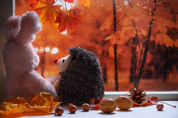 children's toys in front of the autumn window