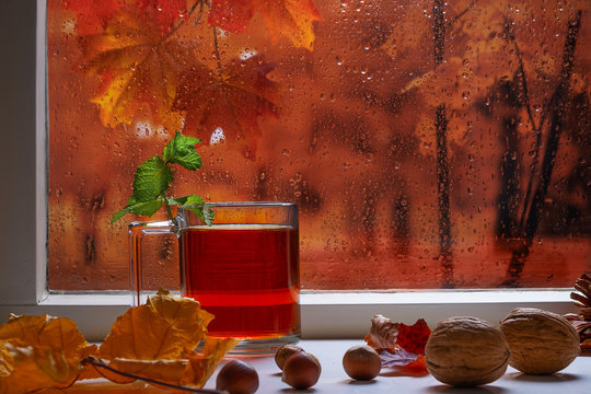 "Autumn Rain" Images – Browse 5,202 Stock Photos, Vectors, and Video