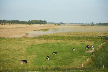 Fototapeta na wymiar Landwirtschaft Niedersachsen