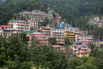 Fototapeta na wymiar Colorful houses and a green pine forest in Himalaya mountains in Dharamsala, India