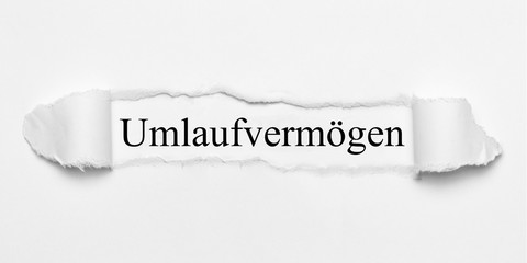 Umlaufvermögen