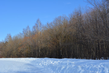 Fototapeta na wymiar Forest in march. Snowy field and trees on the background of clear blue sky.