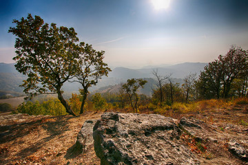 Obraz premium Colli Tortonesi