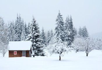landscape with a cottage near the forest in winter