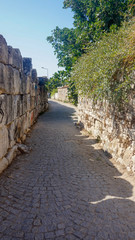 Apollon temple - Ruins of the Temple of Apollo in Didim, Turkey-