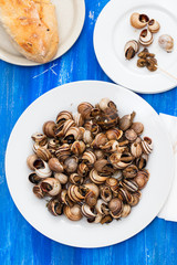 boiled snails on white plate on blue wooden background
