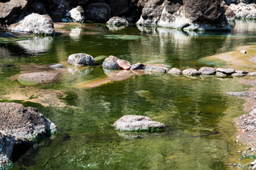 Hot spring sea water and small swamps near Lac Assal (Salt Lake) , 150m below sea level -  Djibouti, East Africa