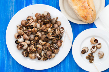 boiled snails on white plate on blue wooden background