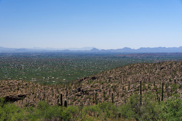 Fototapeta na wymiar View of Tucson, Arizona from Mt Lemmon Scenic Byway