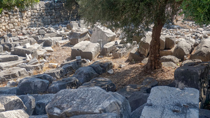 Apollon temple - Ruins of the Temple of Apollo in Didim, Turkey-