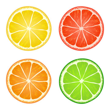 vector collection of citrus slices on white background