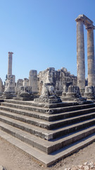 Apollon temple - Ruins of the Temple of Apollo in Didim, Turkey-