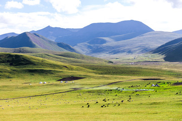 Obraz premium Qilian prairie landscape