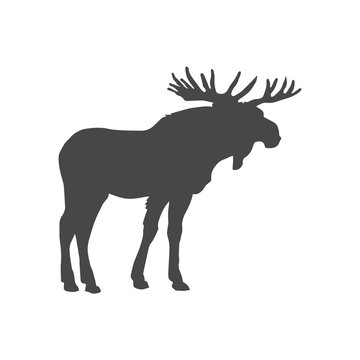 Moose Vector Icon, Simple Car Sign.