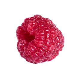 berry raspberry isolate