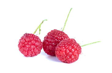  berry raspberry isolate