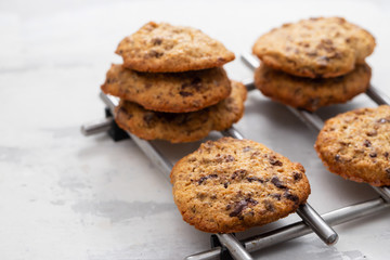 oat cookies with chocolate on ceramic background