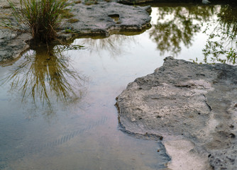 Water pools on a limestone surface.