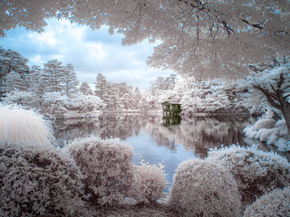Japanese Garden