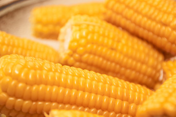 Close up yellow sweet corn grain, dense rows of boiled yellow corn seeds for background. Macro