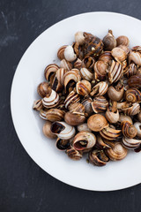 boiled snails on white plate on ceramic background
