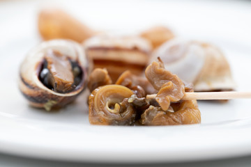 boiled snails on white plate on ceramic background