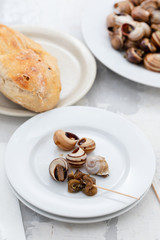 boiled snails on white plate on ceramic background