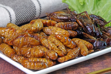 Edible insects : Deep fried crispy salted Silkworm pupae and cricket.  Entomophagy : Edible insects, other natural sources of nutrients. Famous street food in Thailand. Close up.