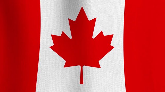 Realistic cotton flag of Canada as a background. Seamless looping animation of grunge Canadian national waving flag with fabric texture